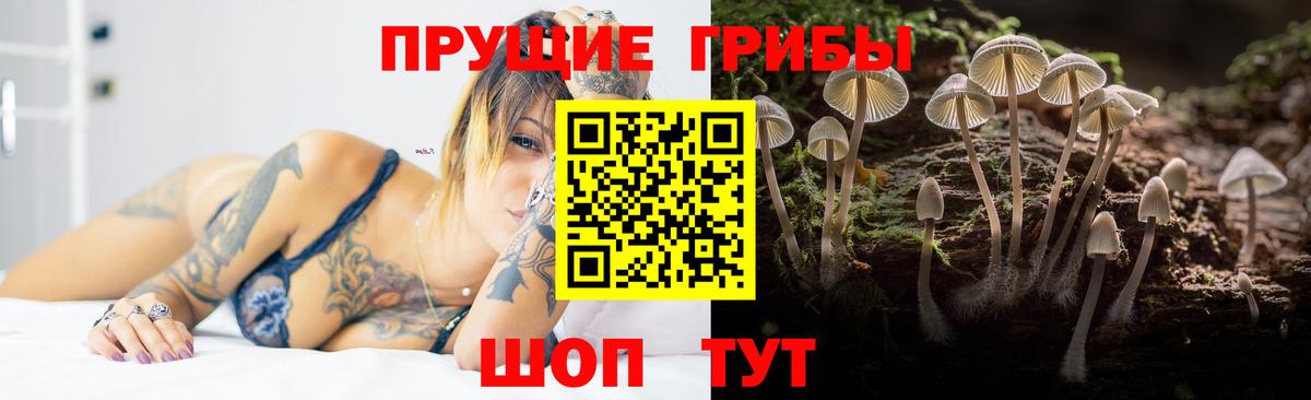 Псилоцибиновые грибы ЛСД  Галлюциногенные грибы Psilocybe  Надым  Вход с VPN 